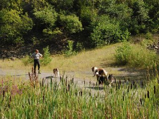 2009-08-15_ntb_4903