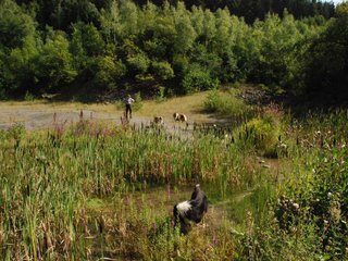 2009-08-15_ntb_4905