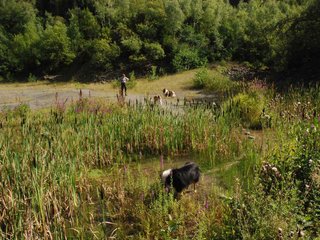 2009-08-15_ntb_4906