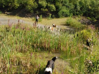 2009-08-15_ntb_4907