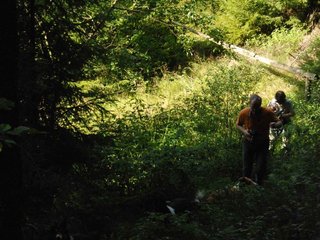 2009-08-15_ntb_4930