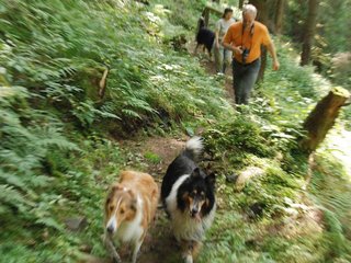 2009-08-15_ntb_4937