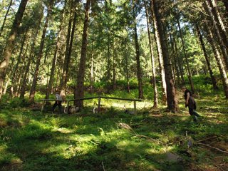 2009-08-15_ntb_4938