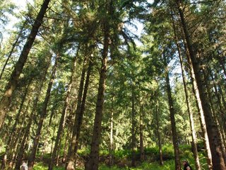 2009-08-15_ntb_4939