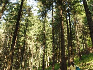 2009-08-15_ntb_4940