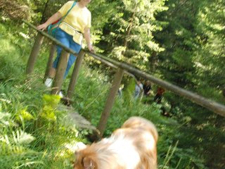 2009-08-15_ntb_4942