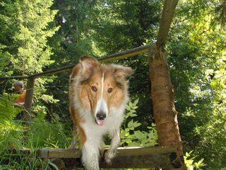 2009-08-15_ntb_4945
