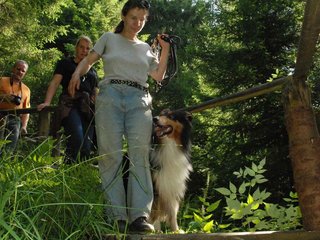 2009-08-15_ntb_4946