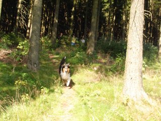 2009-08-15_ntb_4948
