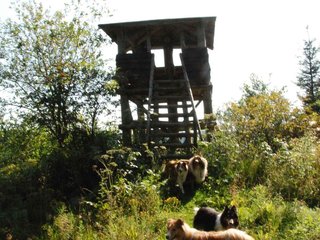 2009-08-15_ntb_4952