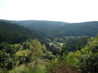2009-08-15_ntb_4954