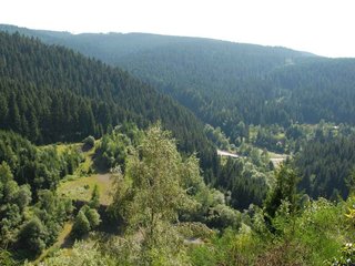 2009-08-15_ntb_4955