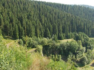 2009-08-15_ntb_4956