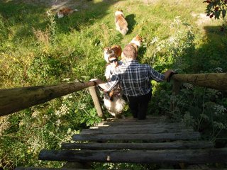 2009-08-15_ntb_4958