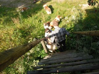 2009-08-15_ntb_4959