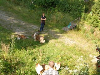 2009-08-15_ntb_4960