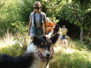 2009-08-15_ntb_4972