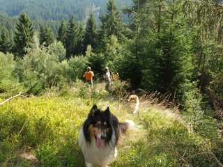 2009-08-15_ntb_4975