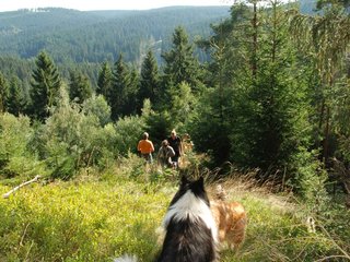 2009-08-15_ntb_4976
