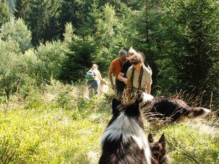 2009-08-15_ntb_4977