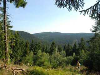 2009-08-15_ntb_4980