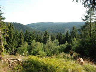 2009-08-15_ntb_4981