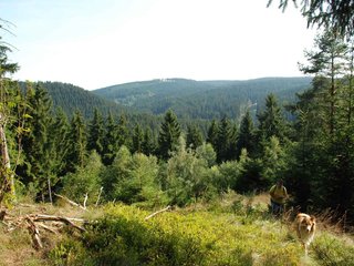 2009-08-15_ntb_4982