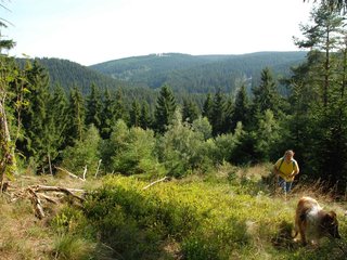 2009-08-15_ntb_4983