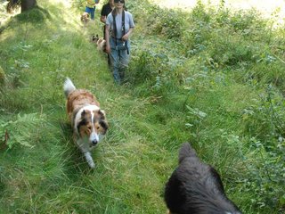 2009-08-15_ntb_4986