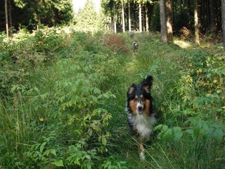 2009-08-15_ntb_4990