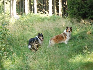 2009-08-15_ntb_4991
