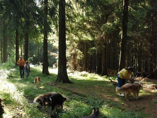 2009-08-15_ntb_4993