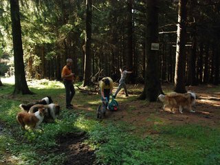 2009-08-15_ntb_4994