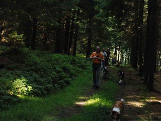 2009-08-15_ntb_4996