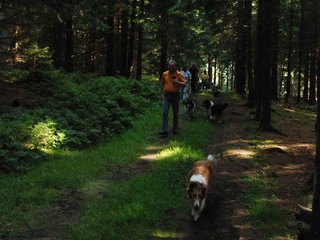 2009-08-15_ntb_4997