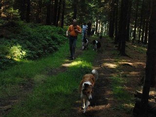 2009-08-15_ntb_4998