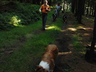 2009-08-15_ntb_5000