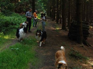 2009-08-15_ntb_5005