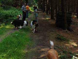 2009-08-15_ntb_5006