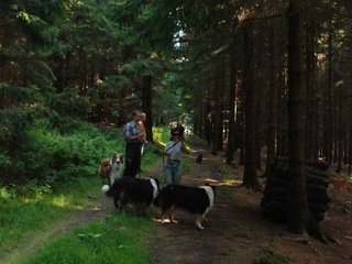 2009-08-15_ntb_5008