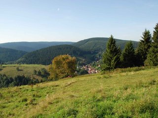 2009-08-15_ntb_5022