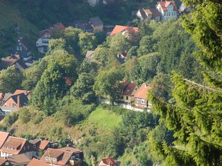 2009-08-15_ntb_5028