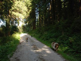 2009-08-15_ntb_5041