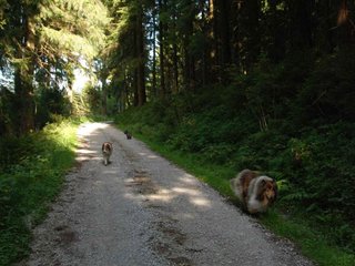 2009-08-15_ntb_5042