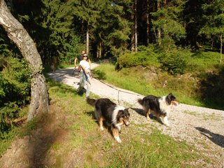 2009-08-15_ntb_5044
