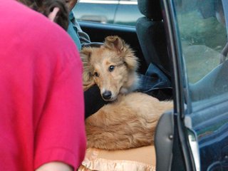 2009-08-15_ntb_5061