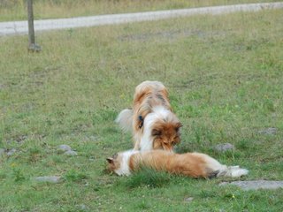 2009-08-15_ntb_5065