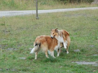 2009-08-15_ntb_5074