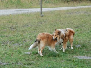 2009-08-15_ntb_5075