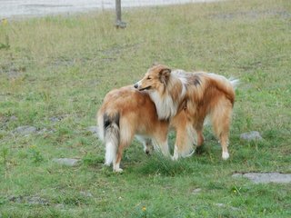 2009-08-15_ntb_5076